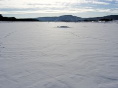 -北极村旅游风景区