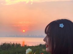 -合肥滨湖国家森林公园