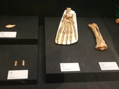-北京周口店北京人遗址博物馆