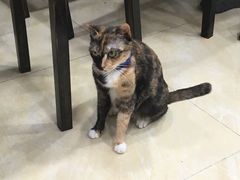 -玉椰林甜品店(创始店)