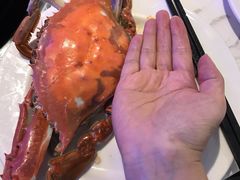 -半岛听涛蒸汽海鲜自助(K11店)