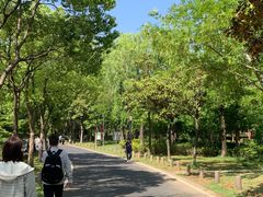 -宝界山林公园