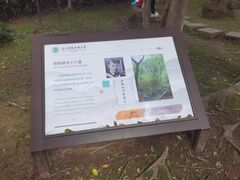 -南京市江宁方山