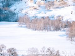 -塞罕坝国家级自然保护区