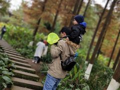 -重庆彩云湖湿地公园