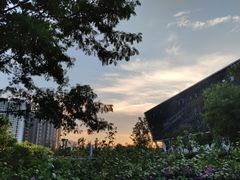 -深圳大学(丽湖校区)