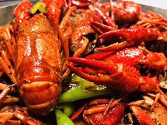 -阿财老铺·老蚌埠龙虾城(华夏总店)