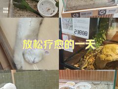 -帕帕拉兹宠物(亚洲旗舰店)