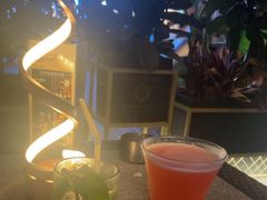 -haxnbauer海森堡德国餐厅(深圳coco店)