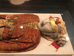 -北京大学赛克勒考古与艺术博物馆