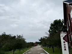 -莱阳濯村樱花园