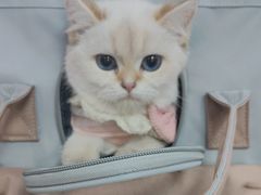 -中农大我爱我爱动物医院·核磁CT·猫病·24小时夜诊中心(石佛营店)