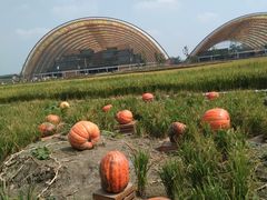 -中国天府农业博览园