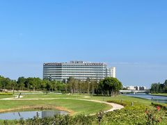 -春花秋色城市公园