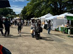 -名古屋城