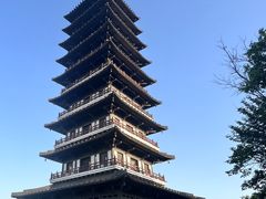 -宜兴龙背山森林公园