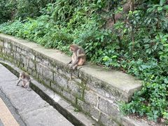 -黔灵山公园