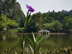 -三水森林公园