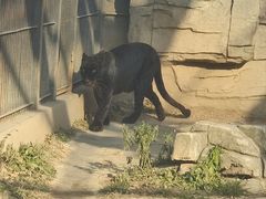 -石家庄市动物园