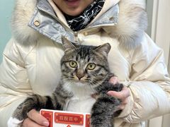 -纳吉亚猫专科动物医院博雅分院