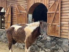 -HERRE·FARM 赫尔露营农场·团建聚会包场