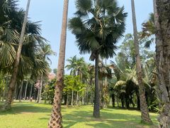 -中国科学院西双版纳热带植物园