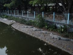-广州长隆飞鸟乐园