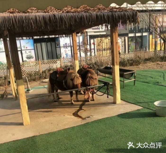 春日遛娃,就去动物乐园!