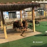 春日遛娃，就去动物乐园！