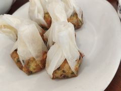 纸包豆腐-天回镇何氏豆腐(总店)