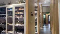 -七色田儿童摄影(静安店)