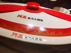 -阿五黄河大鲤鱼(英协路店)