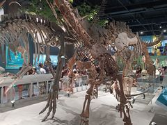 -国家自然博物馆