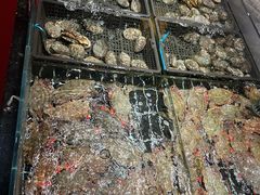 -佳和水饺(海德公馆店)