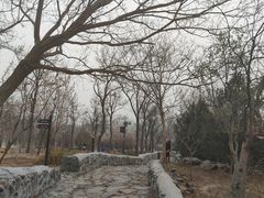 -阳台山自然风景区