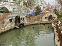 -南宫五洲植物乐园