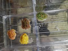 -中环花鸟鱼虫市场