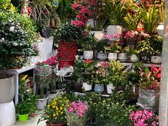 -三旗百汇商品城