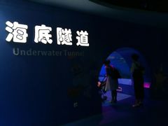 -重庆欢乐海底世界