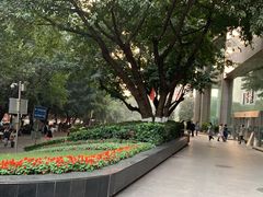 -重庆医科大学附属第一医院(本部)