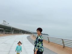 -演武大桥观景平台