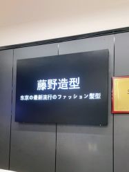 点击看大图 -藤野造型