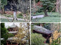 -成都杜甫草堂博物馆