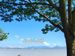 -深圳湾公园(南山区)