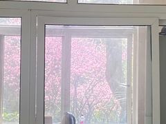 -南山植物园