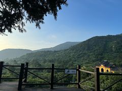 -树山生态村