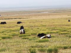 -青海湖国家重点风景名胜区