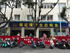 -铭记嘎洒生态鳝鱼(迎春街店)
