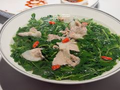 鲜瑶柱肉片浸枸杞芽-炳胜公馆(珠江新城店)