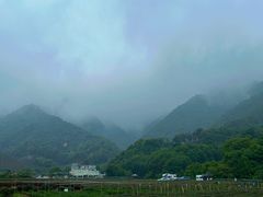 -午潮山国家森林公园